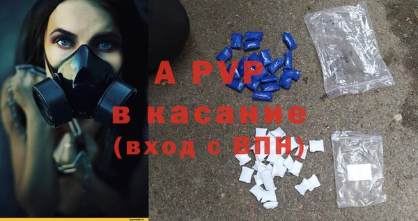 PSILOCYBIN Новозыбков
