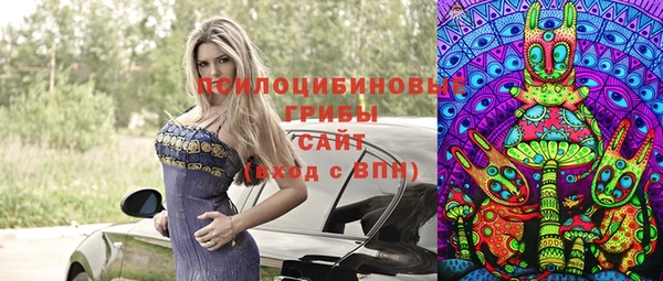 PSILOCYBIN Новозыбков