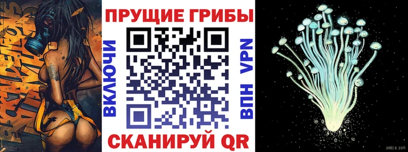 мориарти официальный сайт  где продают   Алагир  Псилоцибиновые грибы мухоморы 